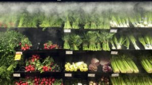 Canadians eye federal budget for action on high food prices