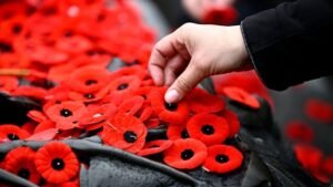 How Remembrance Day and politics collided — and what it means for the future